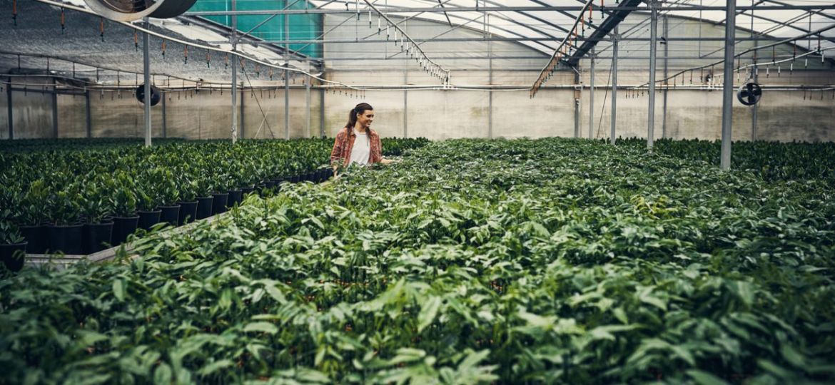 It's a plant lover's paradise (Demo)